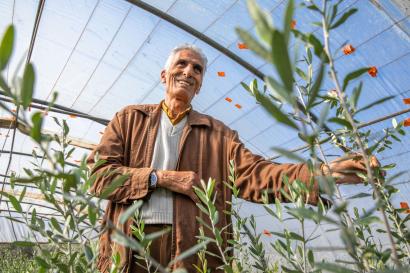 Jordanian man in a greenhouse with blooming plants.