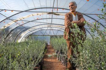 Jordanian man stands in his greenhouse.