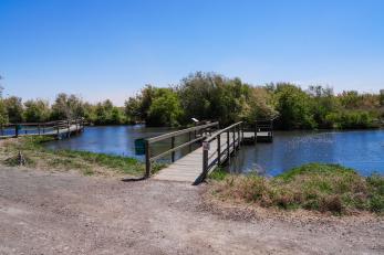 Pond with pier in Jordan.