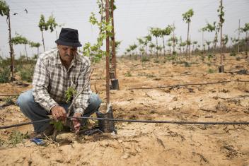 Working with the private sector, Mercy Corps helps develop better systems, tools and incentives to change behaviors around water use and increase adoption of water-saving technologies on farms like Ayman Abu Kishek's in Mafraq.
