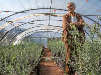 Jordanian man stands in his greenhouse.